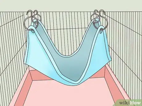 Image titled Bond With Your Pet Rat Step 7