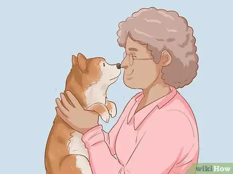 Image titled Choose a Shiba Inu Puppy Step 17