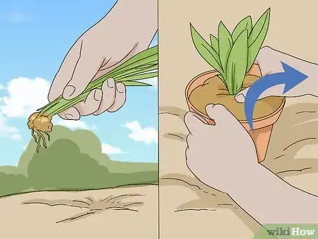 Image titled Make a Gravel Garden Step 1