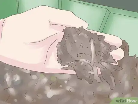 Image titled Make Backyard and Basement Worm Farms Step 3