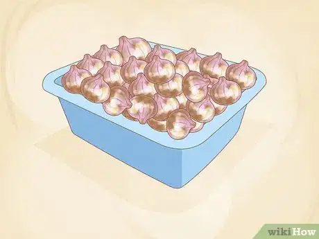 Image titled Plant Sprouted Onions Step 14