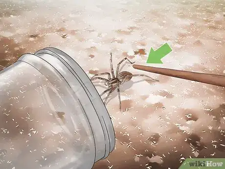 Image titled Keep Grass Spiders Step 3