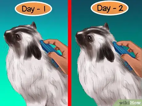 Image titled Care for Ragdoll Cats Step 7