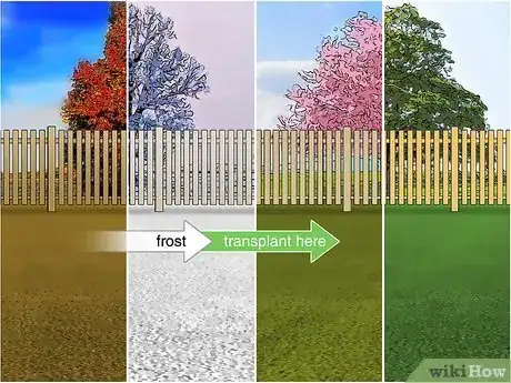 Image titled Grow Chickpeas Step 7