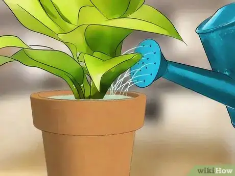 Image titled Reduce the Pain of Gnat Bites Step 16