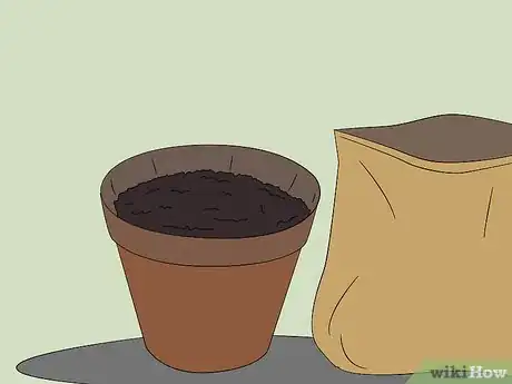 Image titled Care for Madagascar Periwinkle Step 2