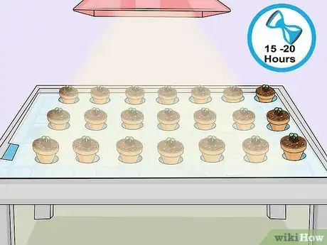 Image titled Build a Hydroponic Garden Step 16