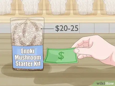 Image titled Grow Enoki Mushrooms Step 1