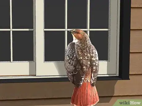 Image titled Repair Woodpecker Holes in Cedar Siding Step 11