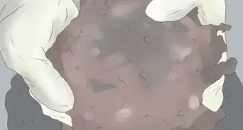 Make Backyard and Basement Worm Farms