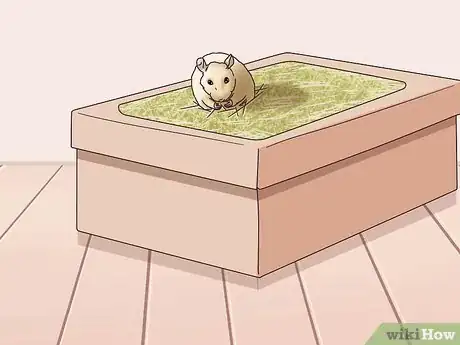 Image titled Bond With Your Pet Rat Step 16