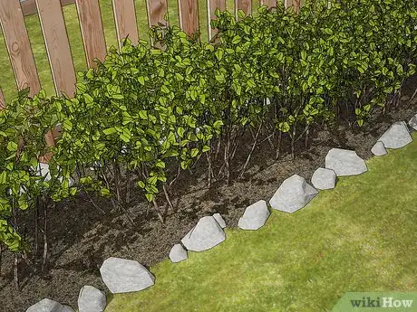 Image titled Keep Ducks Out of a Pool Step 4