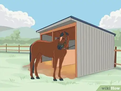 Image titled Warmblood vs Coldblood Step 7