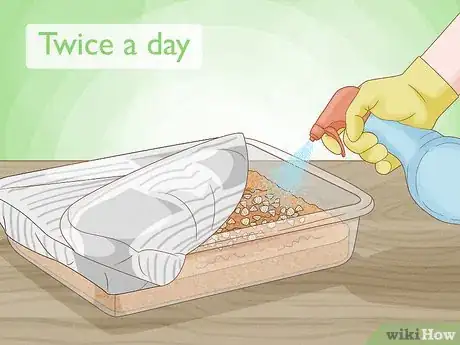 Image titled Grow Enoki Mushrooms Step 13