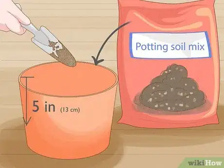 Image titled Grow Basil Cuttings Step 8