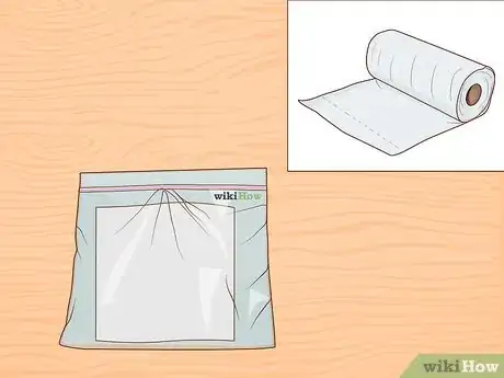 Image titled Grow Pistachios Step 2