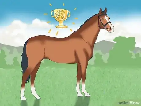 Image titled Warmblood vs Coldblood Step 10