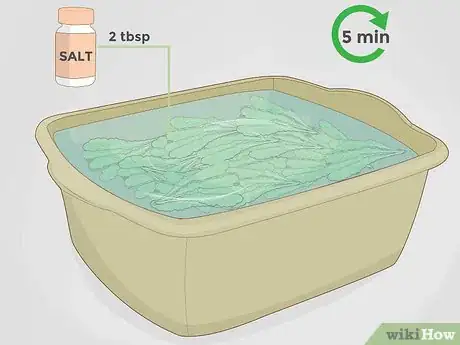 Image titled Store Turnips Step 3