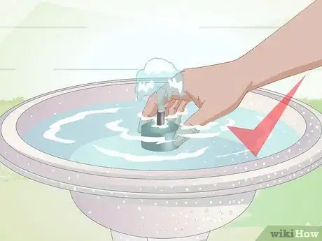 Image titled Keep Algae from Growing in Bird Bath Step 11