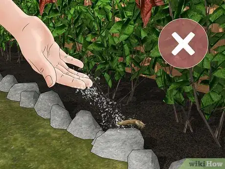 Image titled Does Salt Kill Slugs Step 2