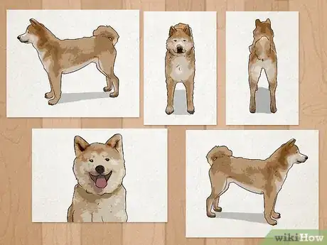 Image titled Register a Dog Without Papers Step 8