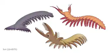 The siberiid lobopodians Siberion (upper left), Megadictyon (bottom center) and Jianshanopodia (upper right)