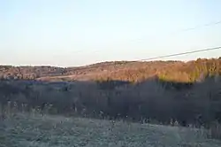 Forests along Cherry Corner Road
