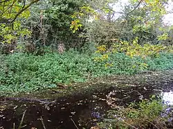 Walls of Gresham Castle
