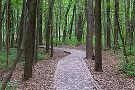 A path