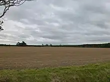 Large modern field, bare-soiled under a heavily clouded sky. It is September of a dry year, and the harvest has been in for over a month and the land prepared for next year. It looks bare and harrowed to a very smooth surface. Distant woodland frames the field.