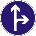 D-005Proceed straight or turn right