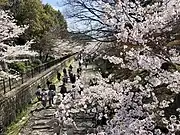 Keage Incline, Spring 2021