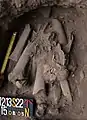 Burial 22. Excavation at exposition 15.