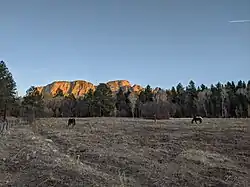 NM Highway 65 passing through El Porvenir, New Mexico. Hermit Peak is visible in the distance.