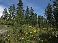 Skaha Bluffs Provincial Park