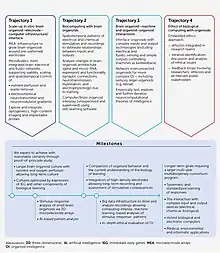 Organoid intelligence (OI) action plan and research trajectories