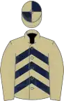 Beige, dark blue chevrons, beige sleeves, quartered cap