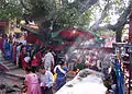 Devotees at temple of Pachali Bhairav