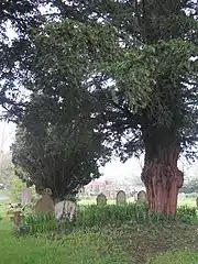 Memorials in the graveyard of St Lawrence's Church, North Hinksey