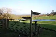 Wick Wood and Worldham Hangers