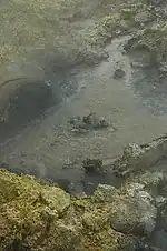 Mud pool at Tikitere ("Hell's Gate"), Rotorua
