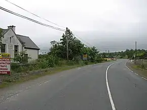 View along the R252 Dooish - geograph.org.uk - 1364966.jpg