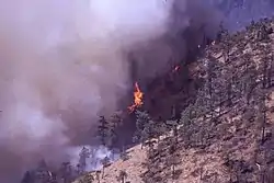 A wildfire on a mountainside